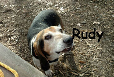 Rudy1